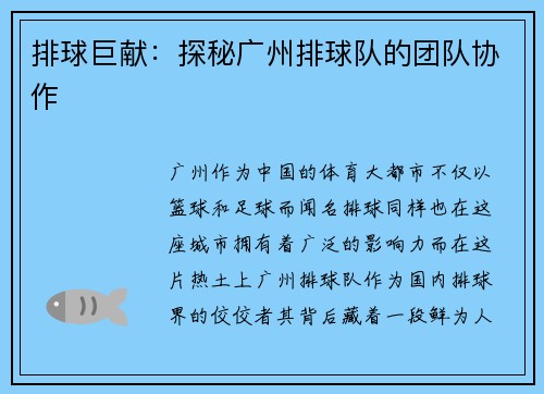 排球巨献：探秘广州排球队的团队协作