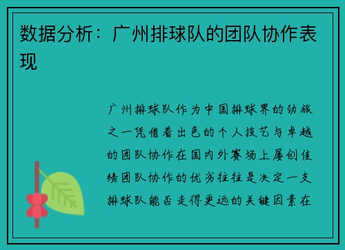 数据分析：广州排球队的团队协作表现