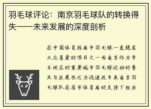 羽毛球评论：南京羽毛球队的转换得失——未来发展的深度剖析